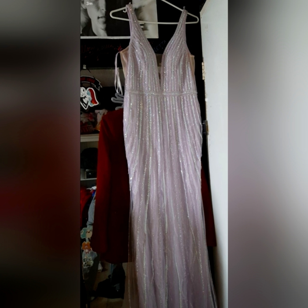 Cinderella Divine Dresses
